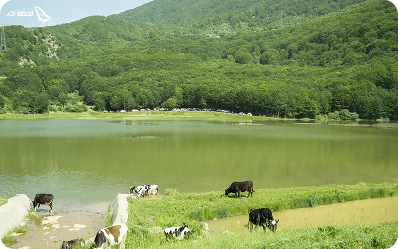 امکانات دریاچه ویستان محدود است امکانات دریاچه ویستان محدود است